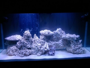 Full tank shot