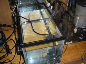 10 gal tank as resorvour for the ATO(auto top off)
