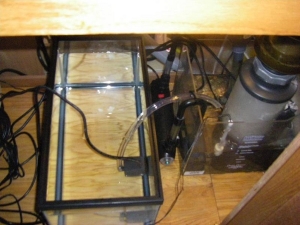 small rio pump to discharge the water into the sump