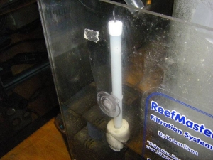 The most important part of the ATO is I call it the leveler. Suction cup MUST be glued to sump.