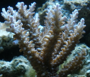 P8120410