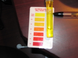 Looks like 0ppm! The Nitrate filter really works.