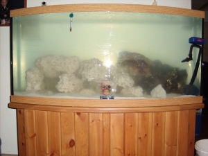 Fish Tank 7 4 10 001