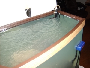 Fish Tank 7 4 10 002