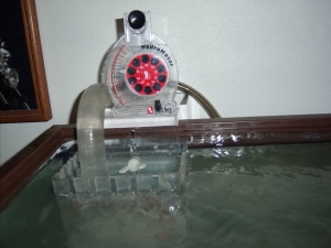 Fish Tank 7 4 10 003
