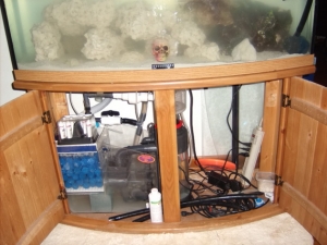 Fish Tank 7 4 10 006