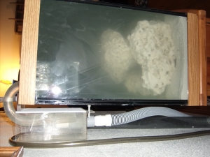 Fish Tank 7 4 10 010