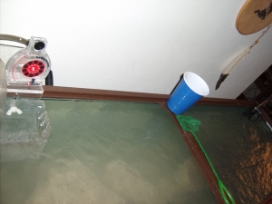 Fish Tank 7 4 10 013