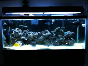 tank3