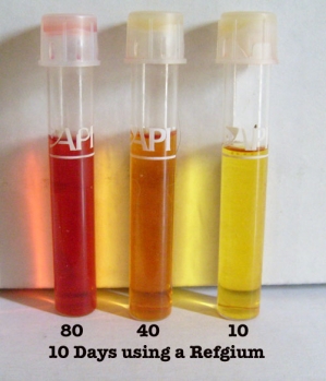 Nitrate Progress
