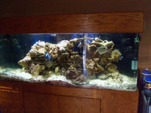 Raimonds Tank July 2010