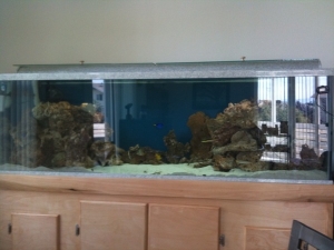 photo(6)