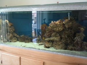 photo(5)