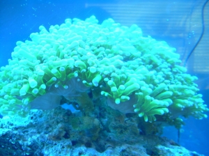 DSCN3585