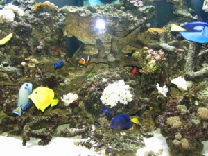 Oceanic 144