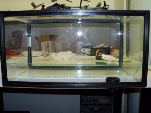 Refugium