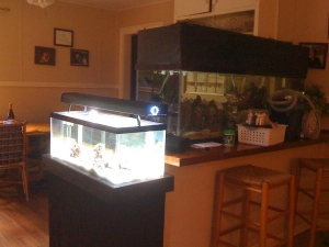 Side angled view with light on