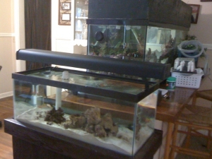 Side view of new fuge with light off