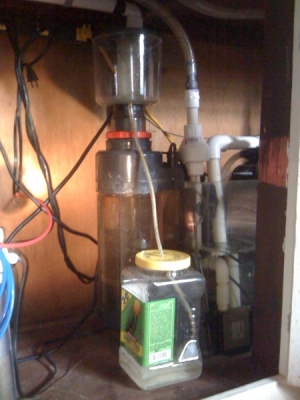 Left side of Sump, This is the Coralife 220, Lovin it.