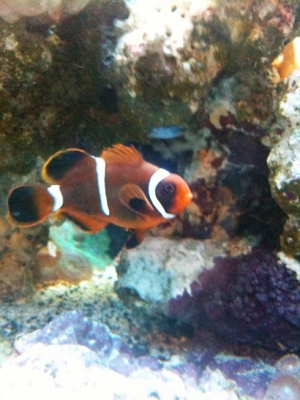 Pics 064