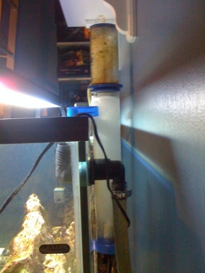 Amiracle rated 90 gallon co current protein skimmer tun of of lime wood airstone very efficent skimmer I like it a lot