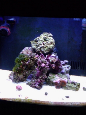 2 months