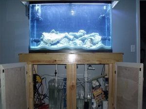 sump