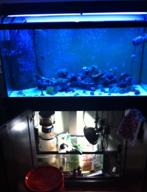 FTS