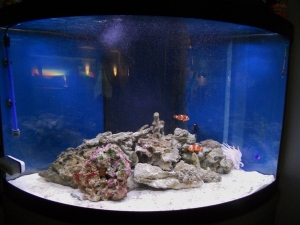 My SW tank