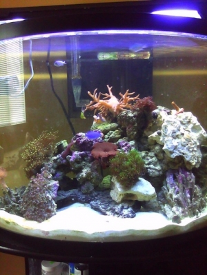 CIMG0024[1]