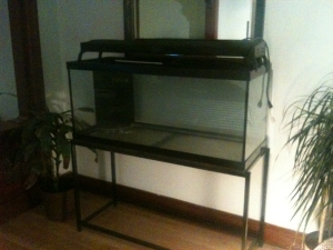 new stand coming up...