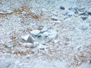 P1080564