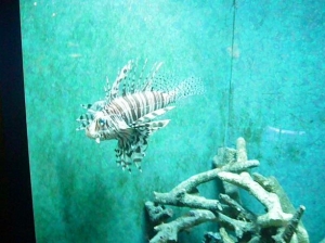 P1080568