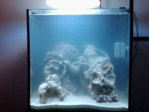 Still waiting for the water to fully clear
