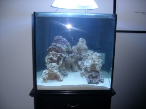 25lbls live rock, 30lbs live sand..