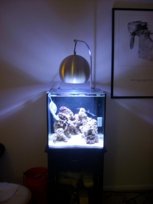 New MH light!!!
