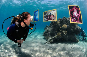 underwaterphotography