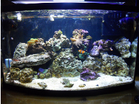 FTS