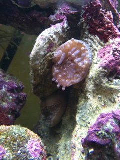photo (9)