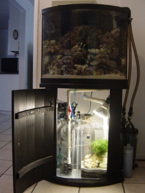 Sump/Refugium