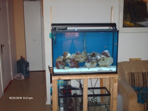 45g tall Tank Build rough frame stand