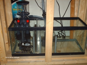 Sump & Fug