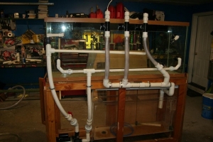 Before paint