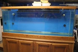 View from front