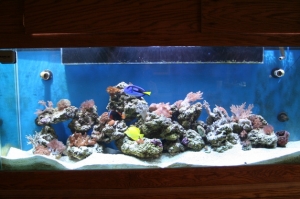full shot 11-7-10