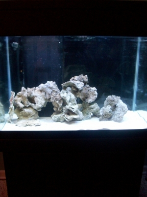 Start of 75g