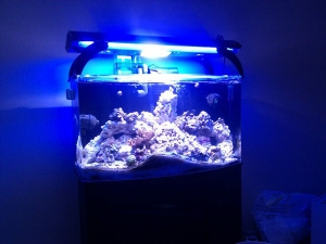 and a further back shot. Yes that is Marco rock in there which has no been completely covered in coralline algae and other fun things.