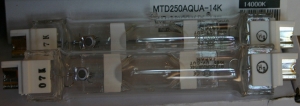 IMG 0771