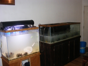 60 next to the 125 transfer water