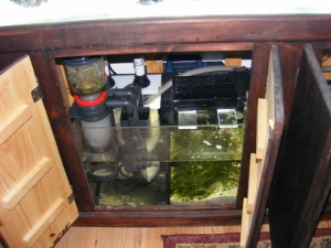 Sump/fuge setup with the skimmer